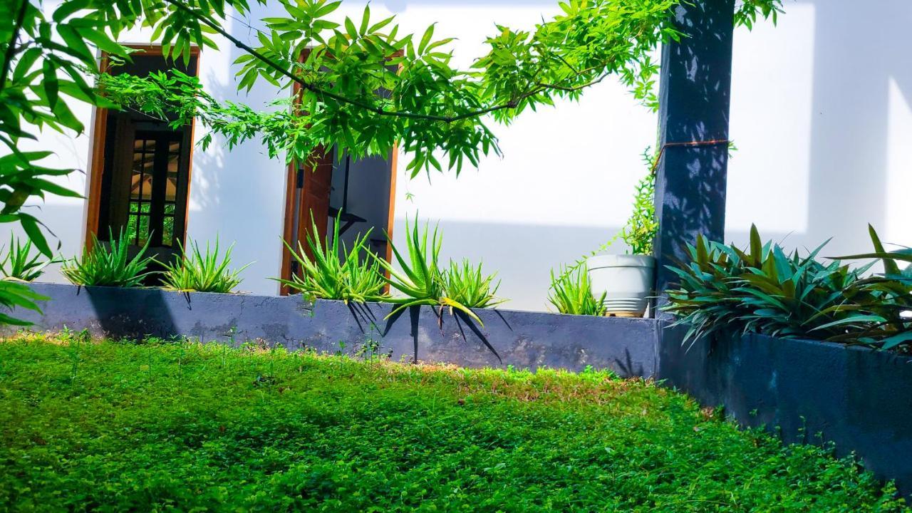 Greenville Resort And Spa Dambulla Eksteriør billede